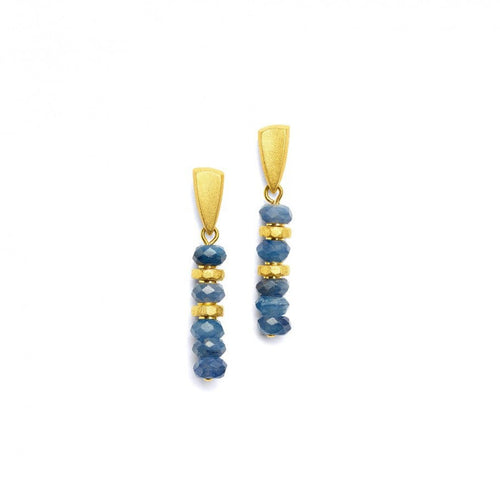 Fanias Kyanite Earrings - 15952796-Bernd Wolf-Renee Taylor Gallery