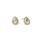 Marie Labradorite Zirconia Earrings-Bernd Wolf-Renee Taylor Gallery