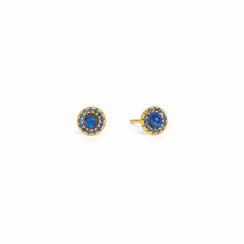 Arenia Kyanite & Sapphire Stud Earrings - 19106138-Bernd Wolf-Renee Taylor Gallery