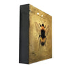 "Insecta Bee IV"-Beverley Wolter-Renee Taylor Gallery