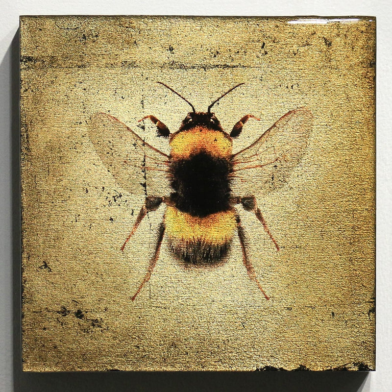 "Insecta Bee IV"-Beverley Wolter-Renee Taylor Gallery