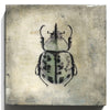 "Insecta Beetle I"-Beverley Wolter-Renee Taylor Gallery