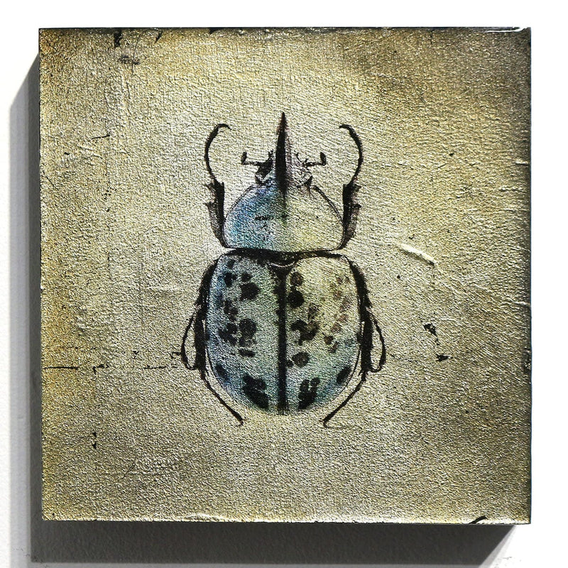 "Insecta Beetle XVI"-Beverley Wolter-Renee Taylor Gallery