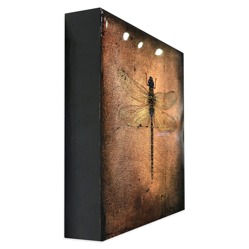 "Insecta Dragonfly IX"-Beverley Wolter-Renee Taylor Gallery