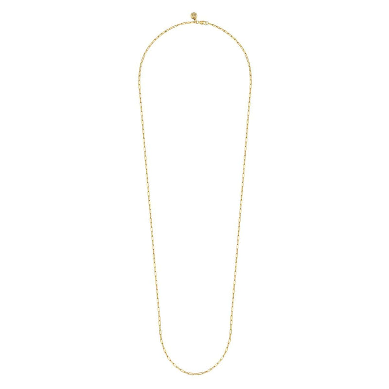 14K Yellow Gold 32" Hollow Paperclip Chain Necklace - NK6768H-32Y4JJJ-Gabriel & Co.-Renee Taylor Gallery