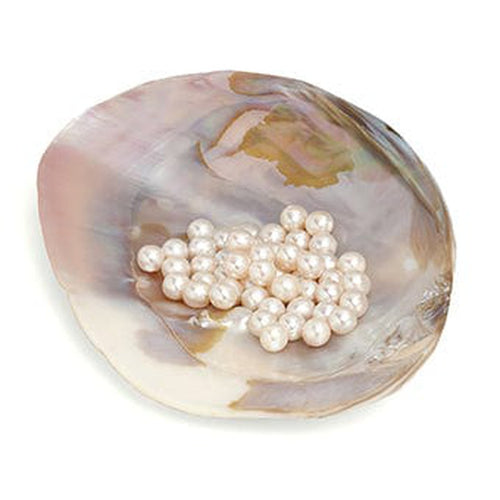 Rospina Freshwater Pearl Necklace - 8130000656-Bernd Wolf-Renee Taylor Gallery