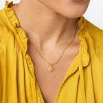 Sanibel Shell Delicate Necklace - Pearl-Julie Vos-Renee Taylor Gallery