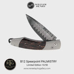 Spearpoint Palmistry Limited Edition - B12 PALMISTRY