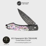 Spearpoint Sea Treasure Limited Edition - B12 SEA TREASURE