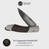 Spearpoint Palmistry Limited Edition - B12 PALMISTRY