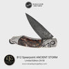 Spearpoint Ancient Storm Limited Edition - B12 ANCIENT STORM