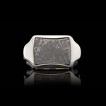 Men's Sleek Meteorite Ring - Ring 8 MET-William Henry-Renee Taylor Gallery